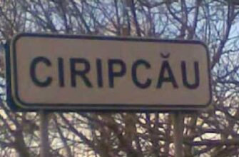 02a461cd 2002 40bb 98e9 ed206b39c9ef