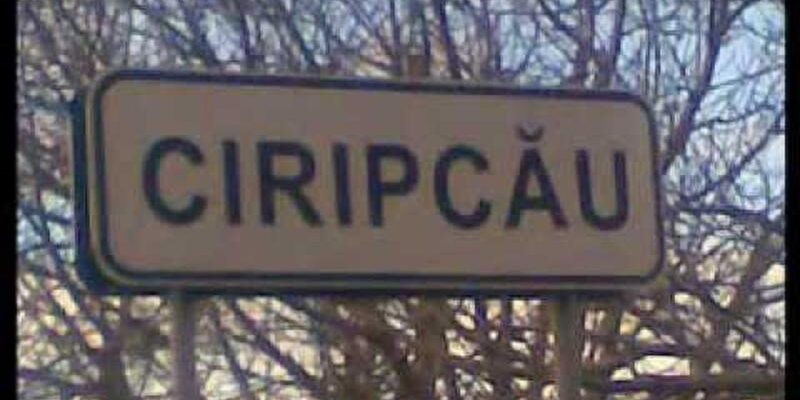 02a461cd 2002 40bb 98e9 ed206b39c9ef