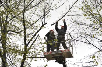 063df363 84e8 42dc 8144 6149666d1f6e