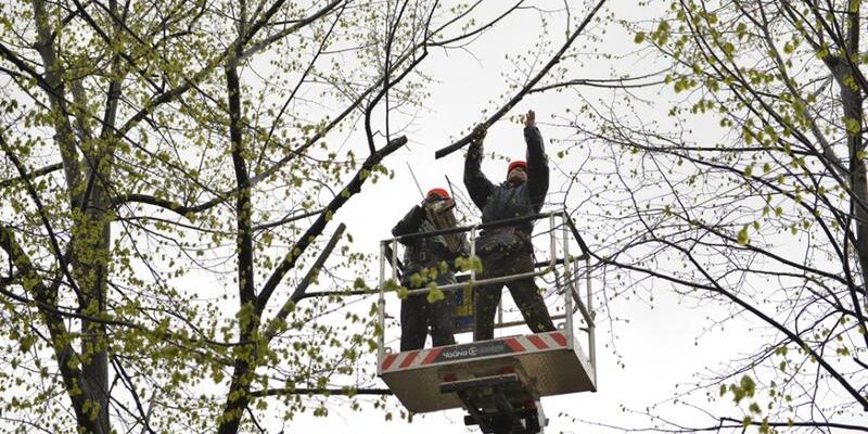 063df363 84e8 42dc 8144 6149666d1f6e