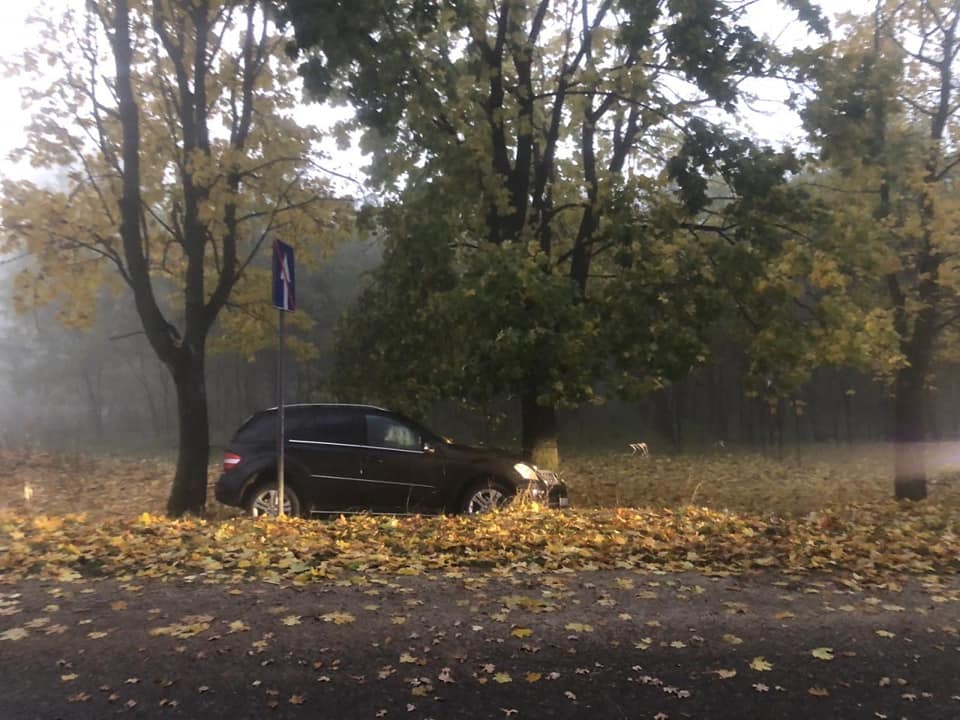 Un deputat PRO Moldova a ajuns cu mașina într-un copac! În automobil se mai afla un membru al familiei