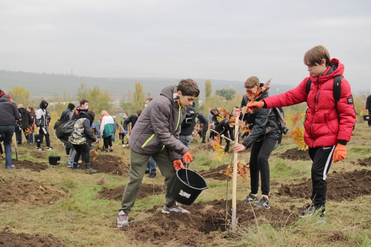 O nouă acţiune de plantare a arborilor s-a desfăşurat astăzi în toate sectoarele municipiului Chişinău