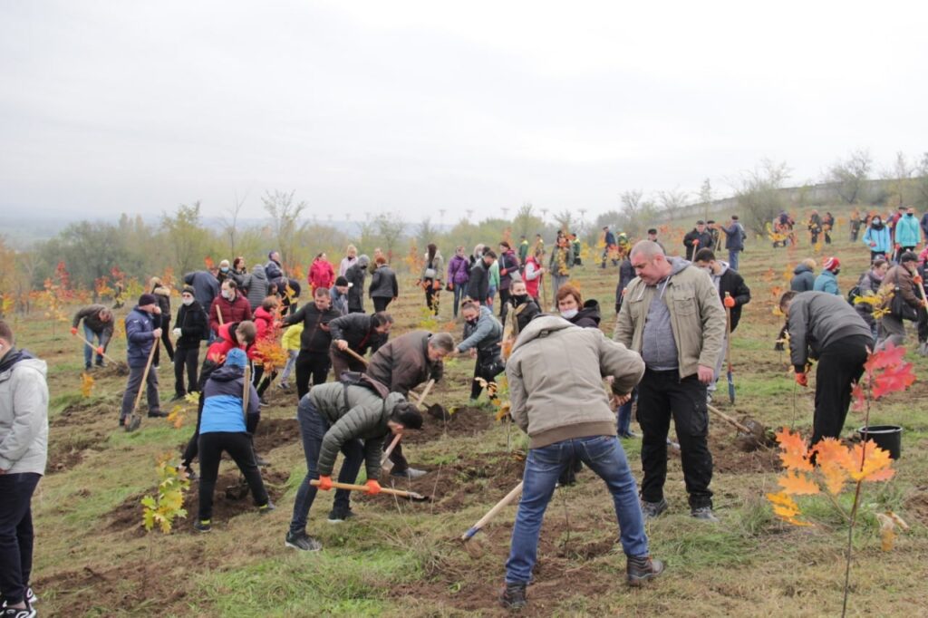 125399961 727381137865764 894716285607202816 o