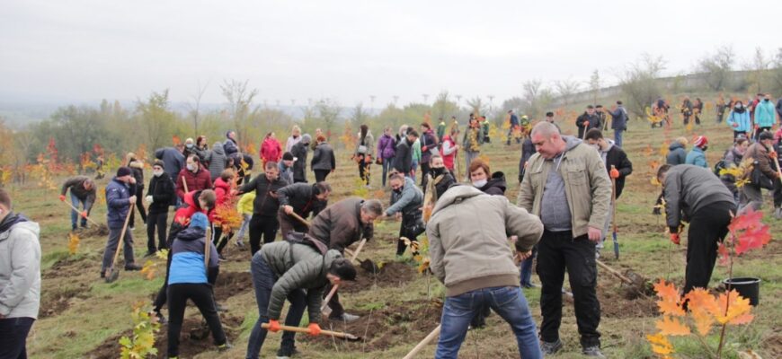 125399961 727381137865764 894716285607202816 o