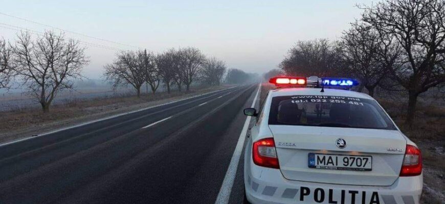 125780258 3318060981654651 7236812142702681726 o