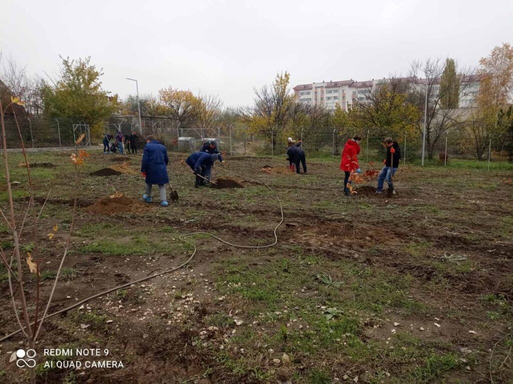 126950923 732626964007848 3003839726782810115 o