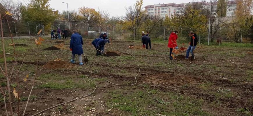 126950923 732626964007848 3003839726782810115 o