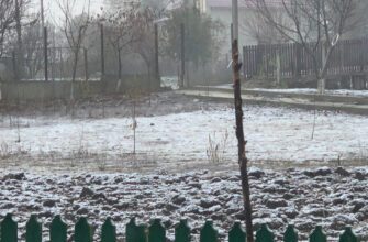 la Sângerei a nins, primii fulgi căzuți în Moldova, iarna 2020