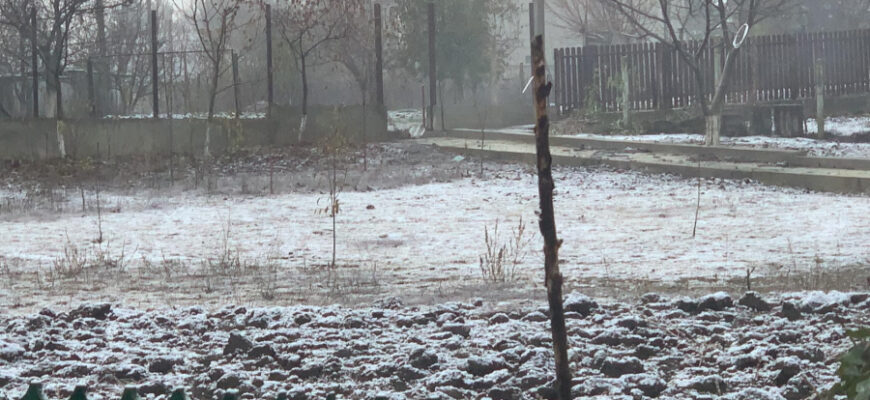 la Sângerei a nins, primii fulgi căzuți în Moldova, iarna 2020