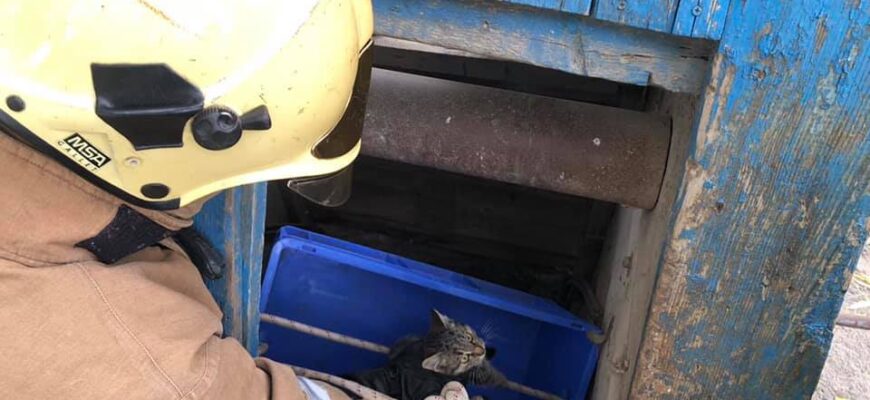 15640a219666a902f4bb913dd174bfb3ee81b40b824b7d1aec072edbfd4d1474