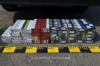 1565347603345 dsc9179 s4