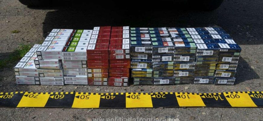 1565347603345 dsc9179 s4