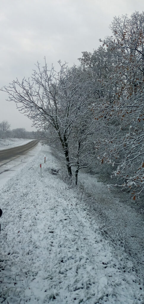 VIDEO // Zăpadă la Șoldănești și în raionul Camenca