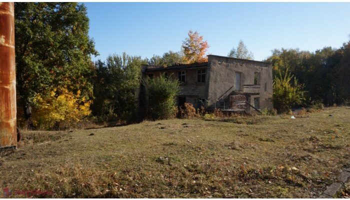 20009187 big1605872176