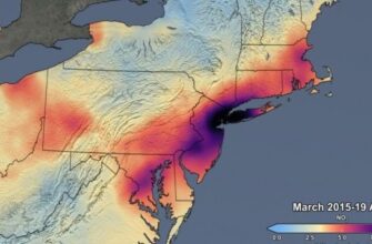 62120585 1587044678kwy8rrl