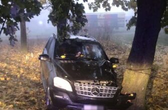 deputatul pro moldova oleg sirbu a ajuns cu masina intrun copac in automobil se mai afla un membru al familiei 159158 1604839683 1