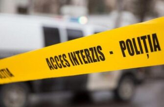 ed577355 e54a 4d01 a88a 54a5723f9def