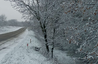 Zăpadă la Șoldănești, zăpadă, omăt, iarna 2020