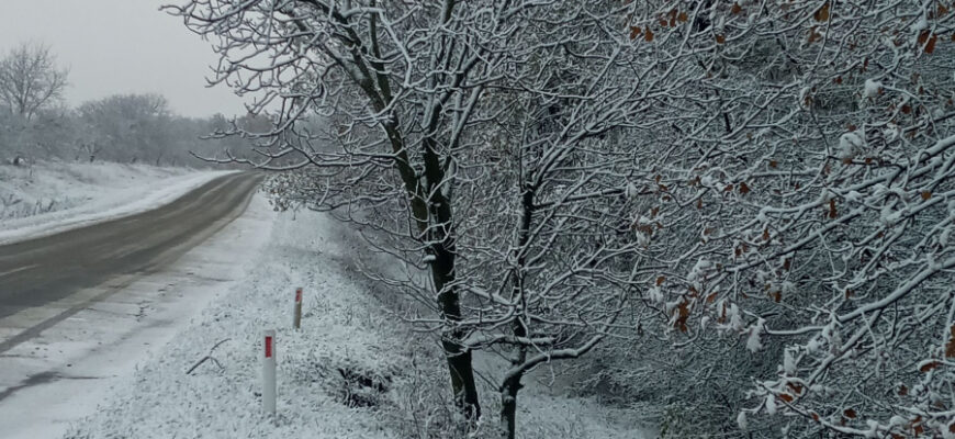 Zăpadă la Șoldănești, zăpadă, omăt, iarna 2020