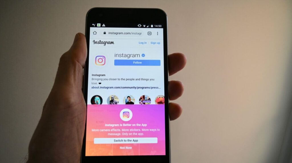 instagram, influencer, frauda