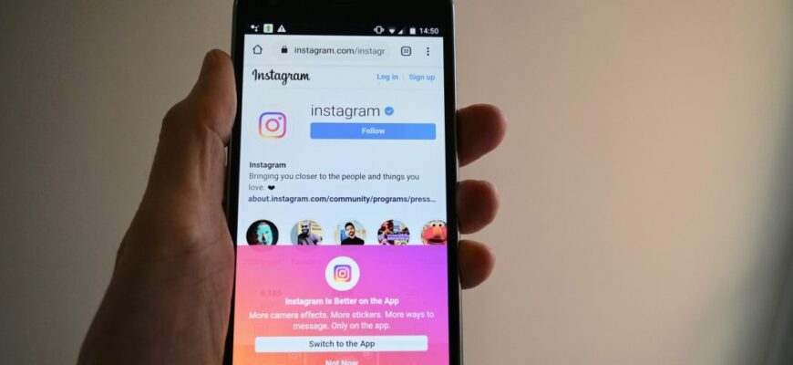 instagram, influencer, frauda