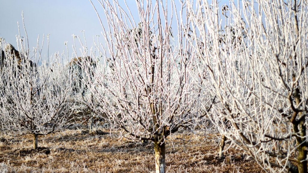 meteorologii anunta cod galben de ingheturi pe tot teritoriul tarii 30680