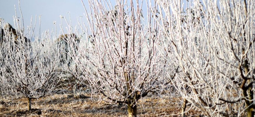 meteorologii anunta cod galben de ingheturi pe tot teritoriul tarii 30680