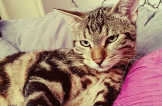 photo 2020 11 02 19 25 46