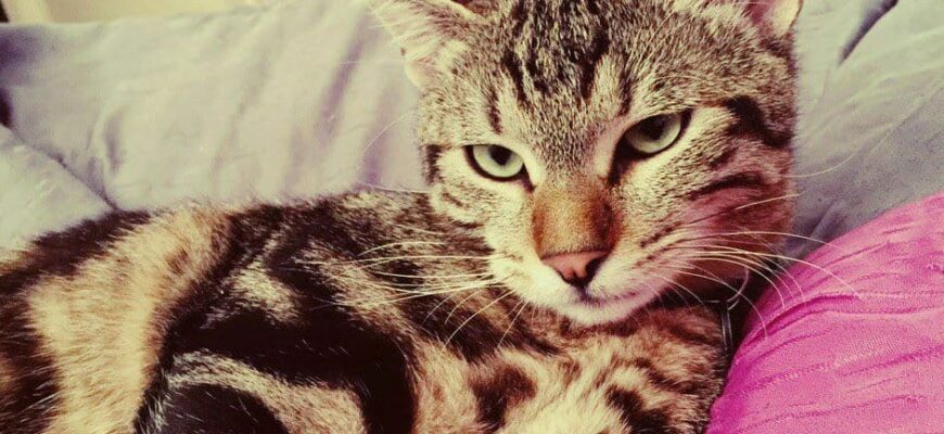 photo 2020 11 02 19 25 46