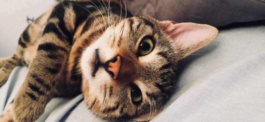 photo 2020 11 19 14 02 08