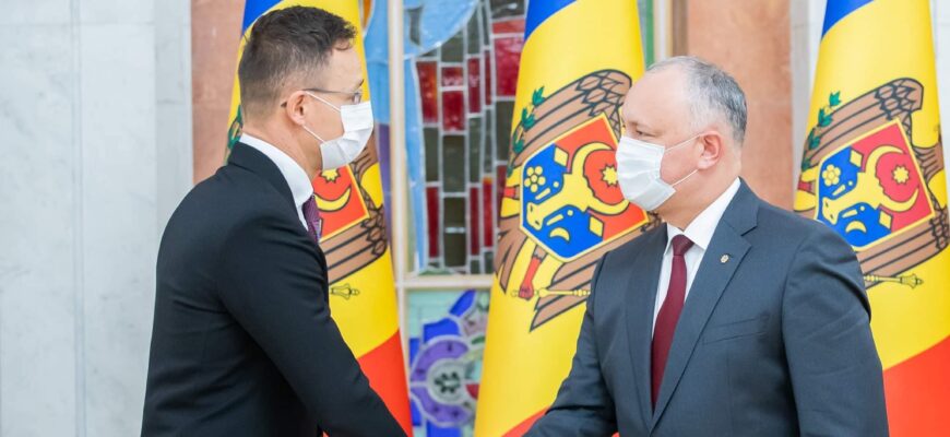 130864391 5428294903863137 1586347366782319525 o