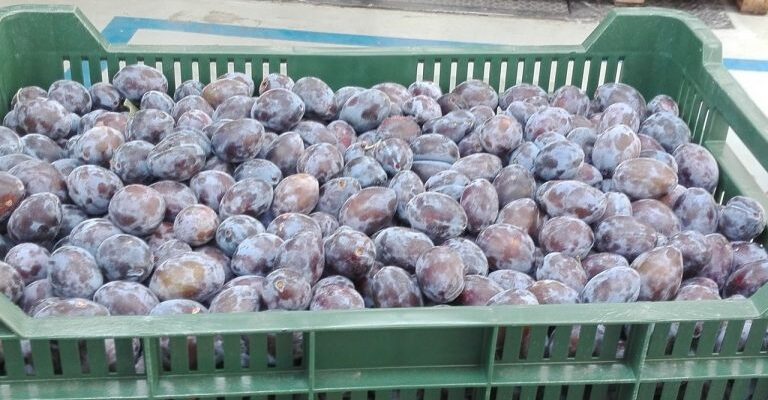 dec2b64f34225293b05326c3f7379a6a 768x431 1