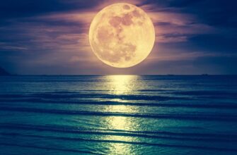 h4y7gd3zejev5bu2ruhqj74hum 1280x720 1