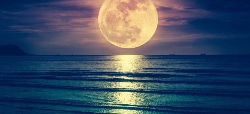 h4y7gd3zejev5bu2ruhqj74hum 1280x720 1