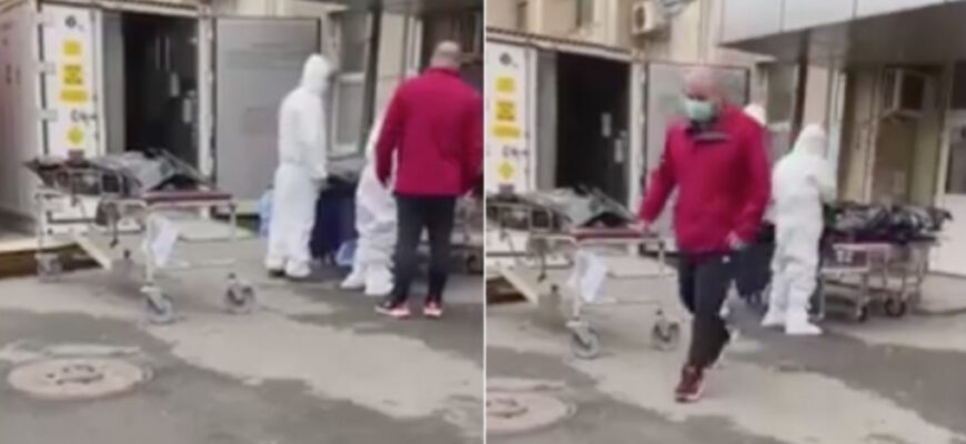 morga constanta 33154100