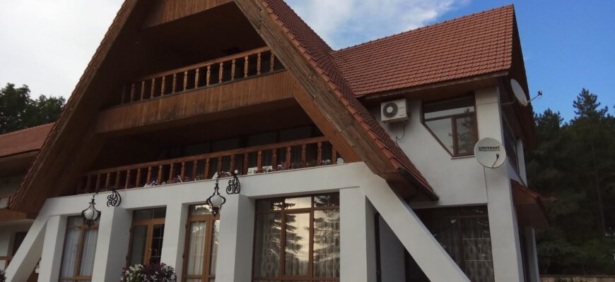 vin8 2 e1501085392695