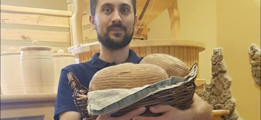 dorin mereuta paine de autor