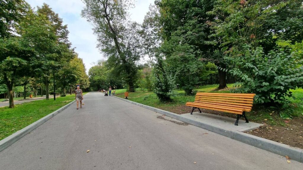 ion ceban trandafirilor