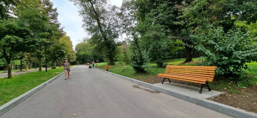 ion ceban trandafirilor