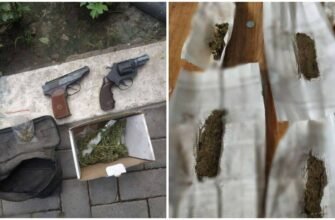 FOTO// Plante de cânepă în raionul Glodeni: Polițiștii au mai stabilit încă doi complici de 43 și 66 ani