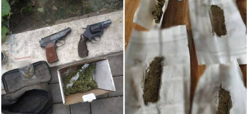 FOTO// Plante de cânepă în raionul Glodeni: Polițiștii au mai stabilit încă doi complici de 43 și 66 ani
