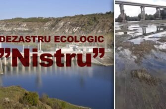 VIDEO// Râul Nistru FĂRĂ APĂ în zona raionului Criuleni. Moldova la un pas de DEZASTRU ecologic