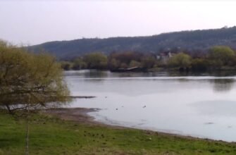VIDEO// Situația dramatică pe râul Nistru. Republica Moldova se va confrunta cu o criză de apă potabilă