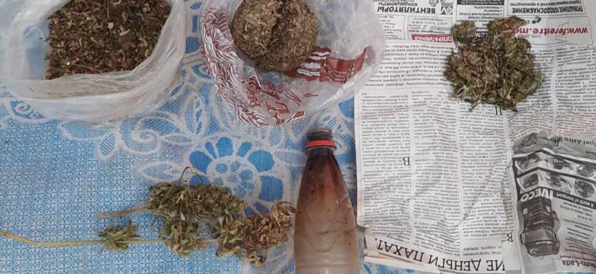 245603888 4831007536951453 6706521038210851143 n