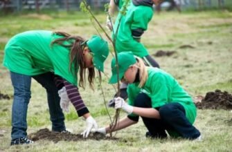 Pe 13 noiembrie, va fi lansată campania națională de plantare a copacilor