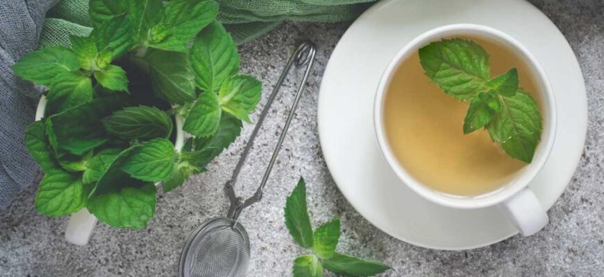 ceai de menta 990x556 1