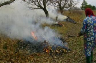 IMPORTANT// Ce riscă gospodarii care vor da foc la frunze. Amenzile prevăzute
