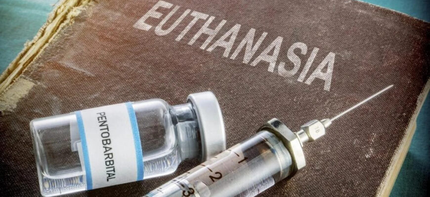 ezgif 1 4c9ee3fe0173