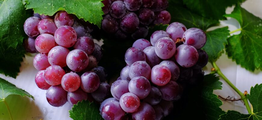 grape fruits