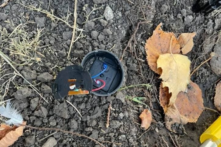 FOTO// Au furat copacii decorativi din fața unei primării și au stricat peste 30 de felinare. Poliția s-a autosesizat